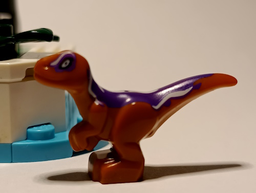 dino36.jpg