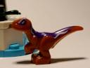 dino36.jpg
