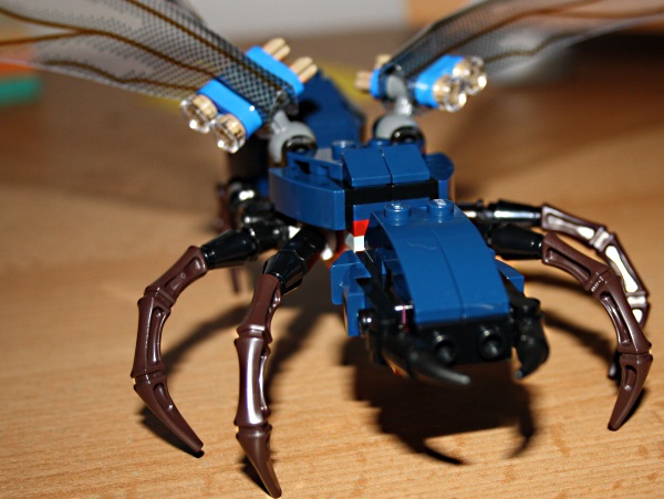 ant3.jpg