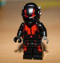 ant6.jpg