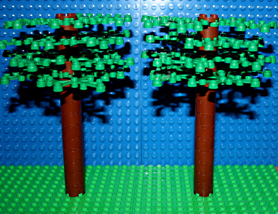 baum10.jpg