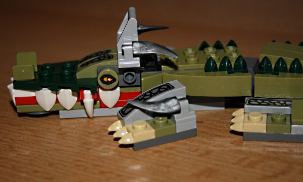 chim37.jpg