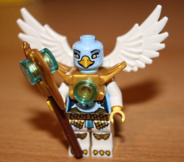 chim3.jpg