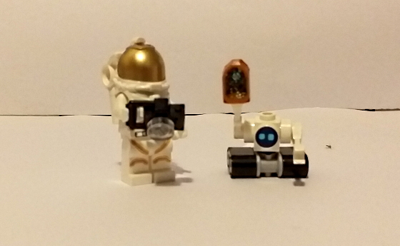 base17.jpg