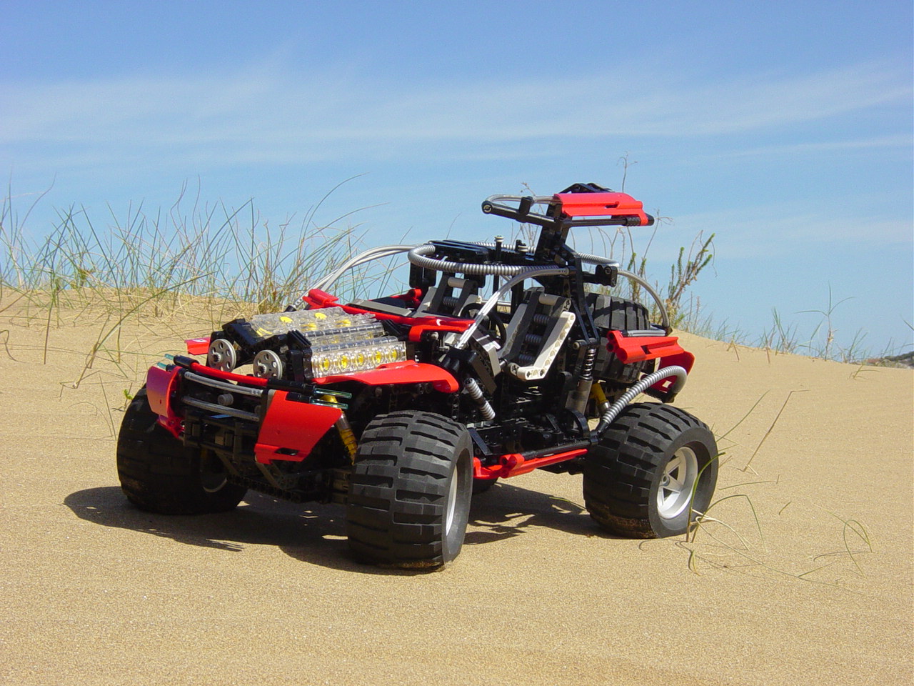 dsc01206.jpg