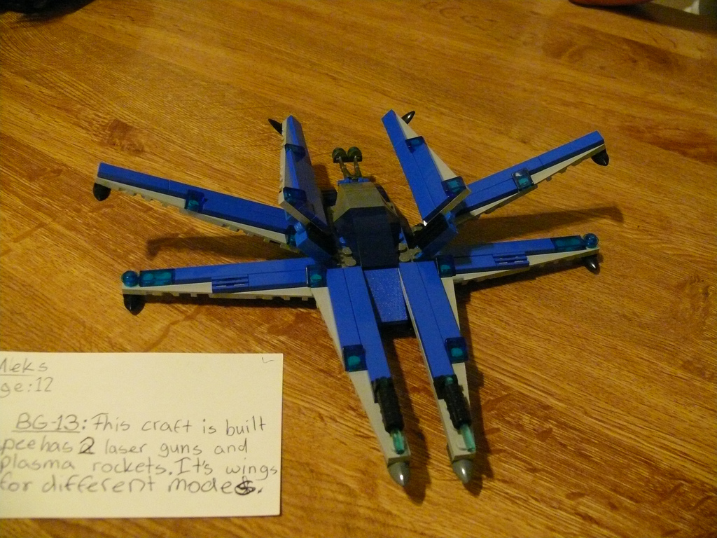 25_bg_13_wings_folded.jpg