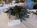 20080830-10051.jpg