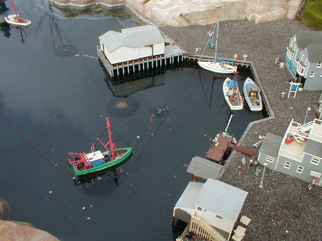 p1010020.jpg
