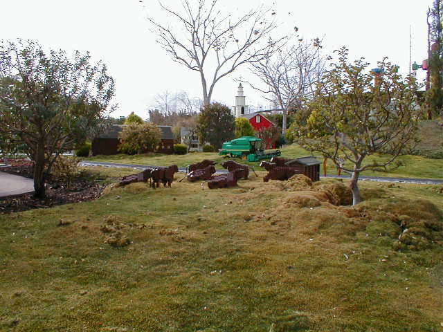 p1010023.jpg