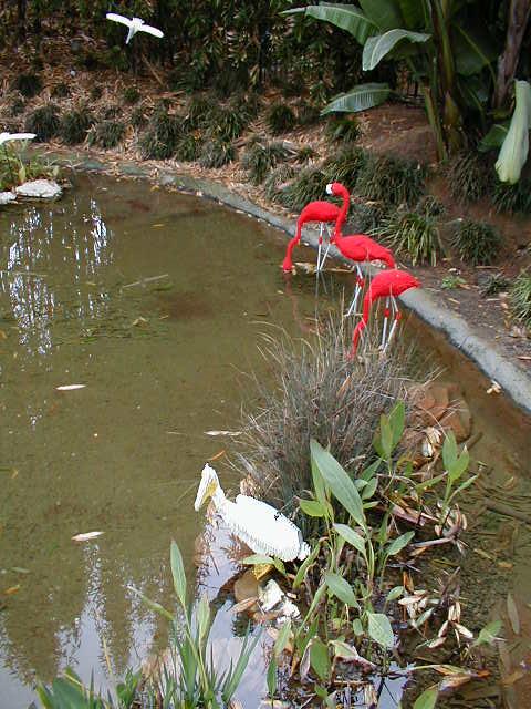 p1010104.jpg