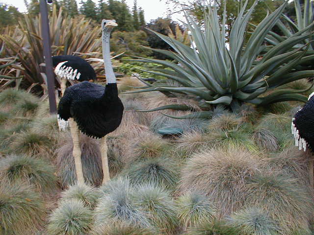 p1010114.jpg