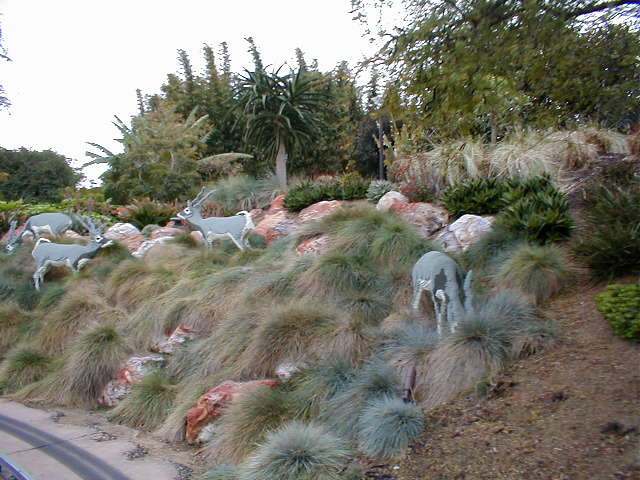 p1010116.jpg