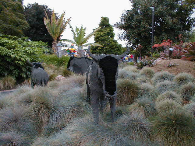 p1010117.jpg