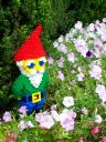 gnome1.jpg