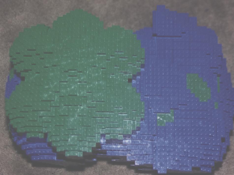 bulba-top.jpg