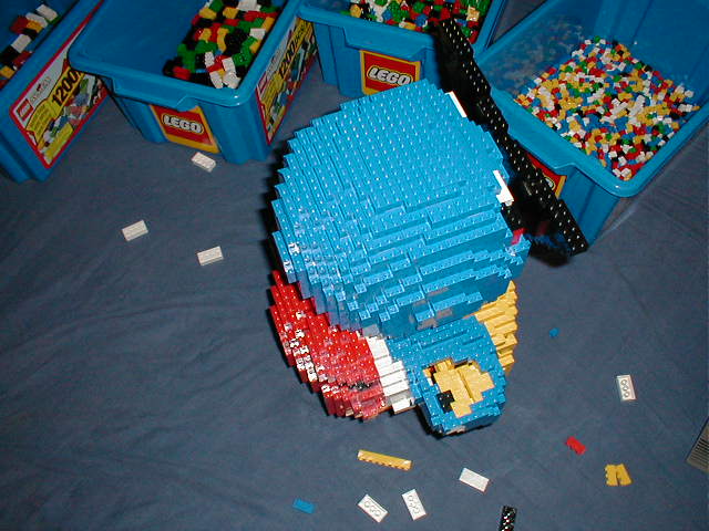 squirtle1top.jpg