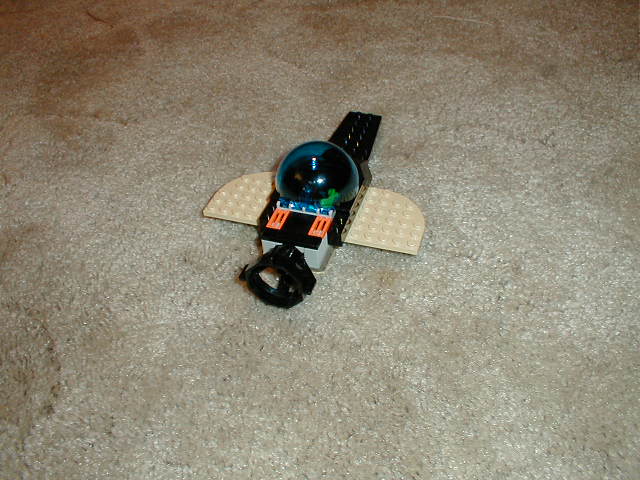 04tail.jpg