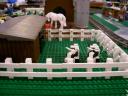 layout-details-07.jpg