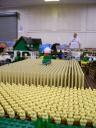 layout-details-11.jpg
