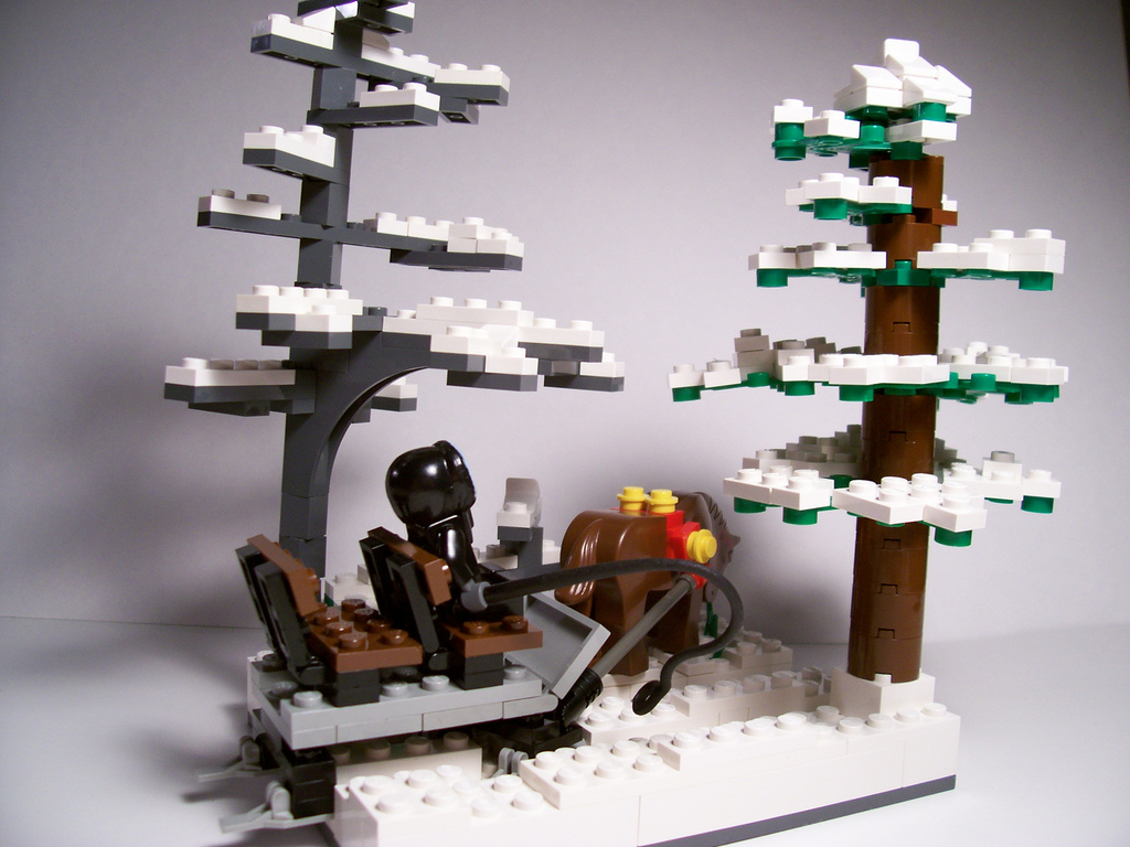 07_stopping_by_woods_on_a_snowy_evening_rear_view_.jpg