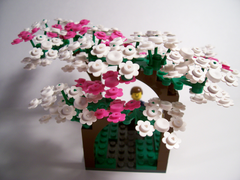 09_loveliest_of_trees_the_cherry_now_through_the_trees_.jpg