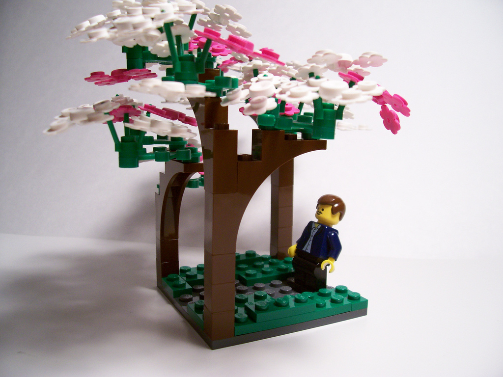 10_loveliest_of_trees_the_cherry_now.jpg