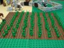 farm_07.jpg