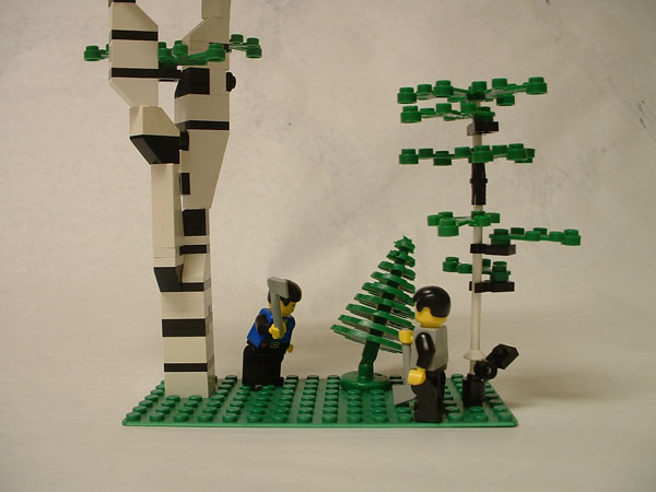 forestry1.jpg
