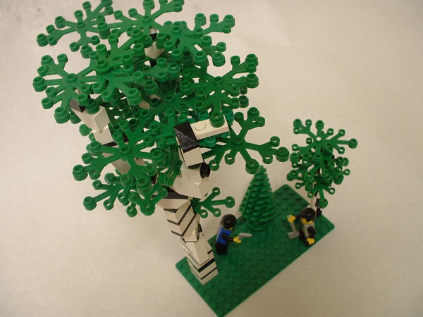 forestry2.jpg