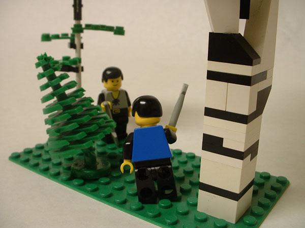 forestry3.jpg