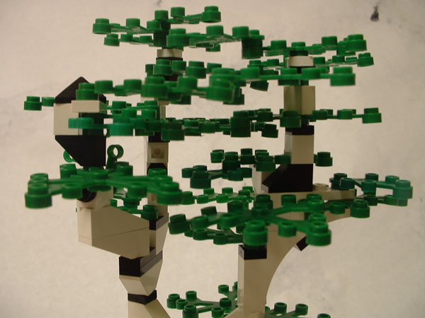 forestry5.jpg