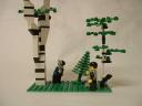 Forestry