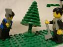 forestry4.jpg