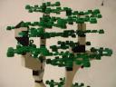 forestry5.jpg