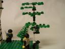 forestry6.jpg