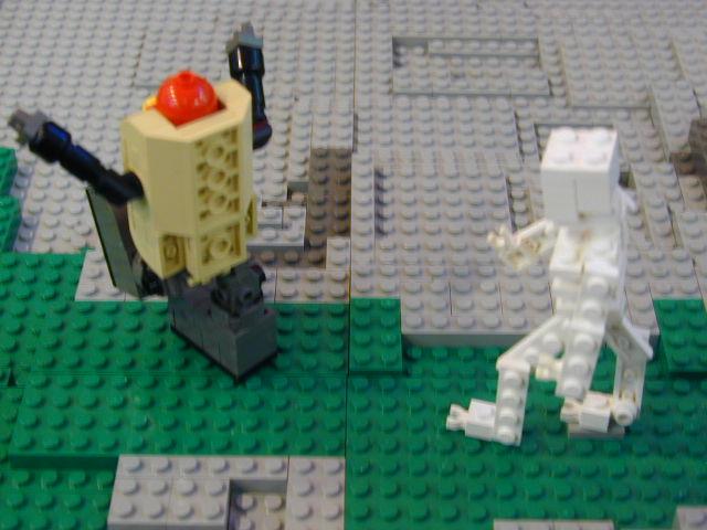 bd_049.jpg