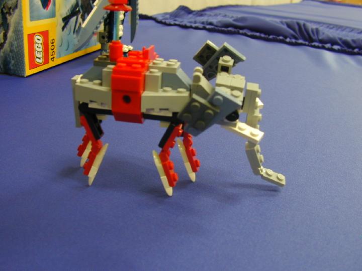 dscn0168.jpg