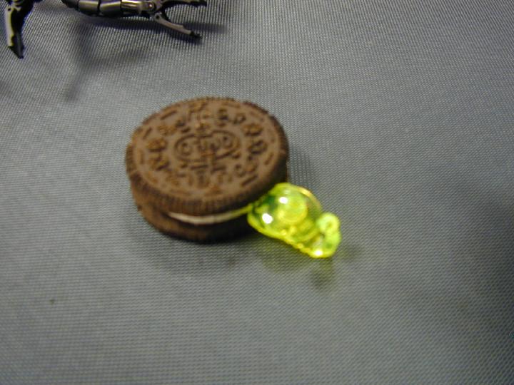 dscn0216.jpg