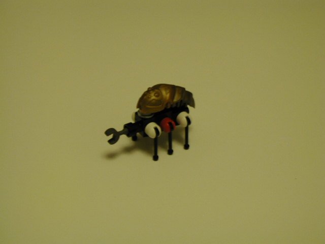 slugs4.jpg
