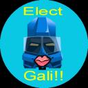election-gali.png