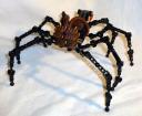 giant-spider-02.jpg