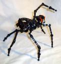 giant-spider-03.jpg
