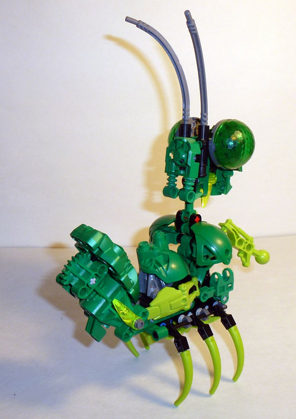 mantis-02.jpg