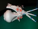 white_pod6.jpg