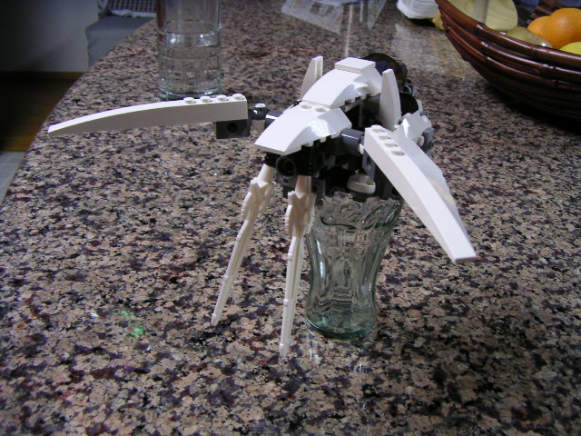 pict0210.jpg