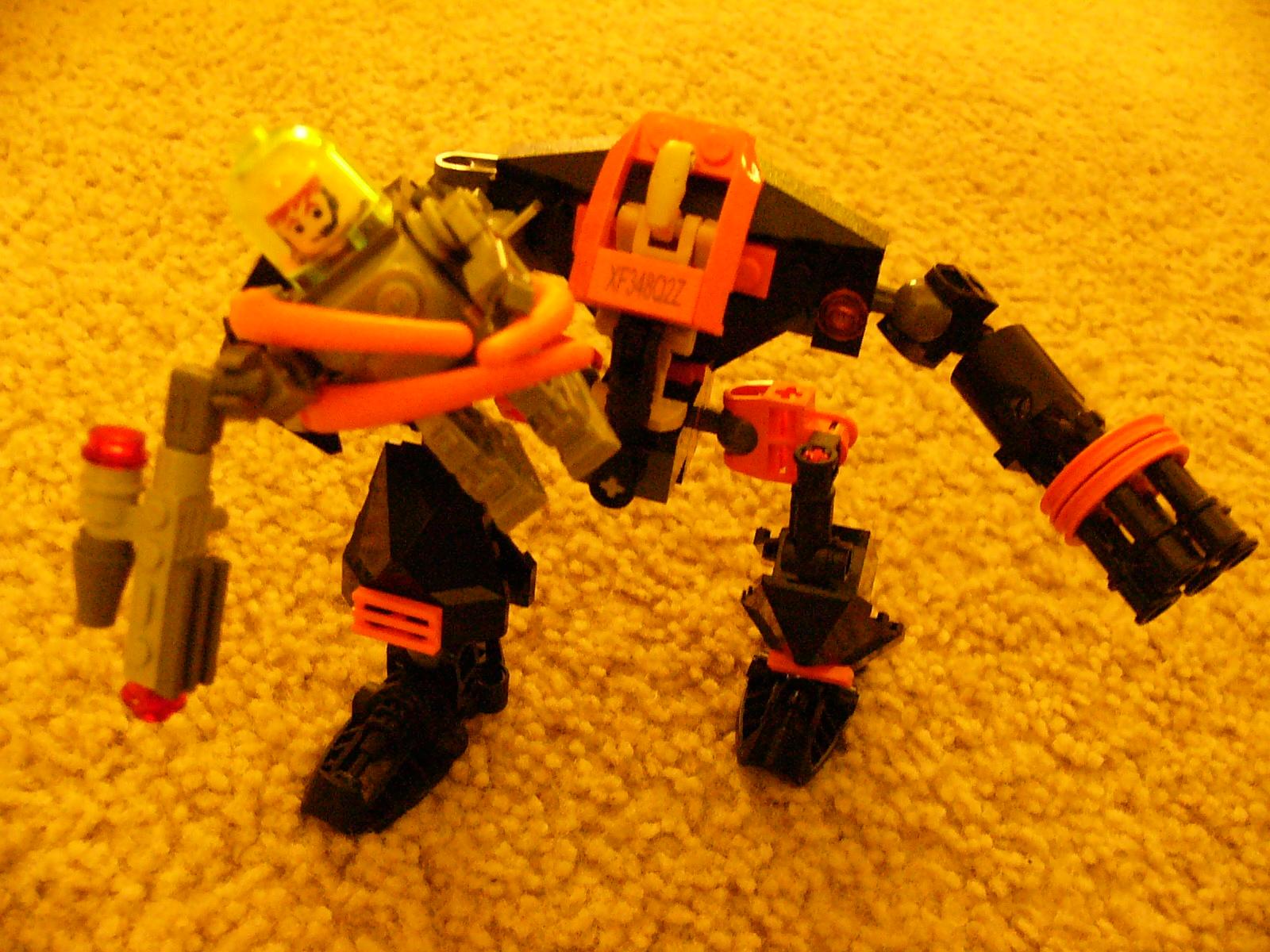 gnat_grabbed.jpg