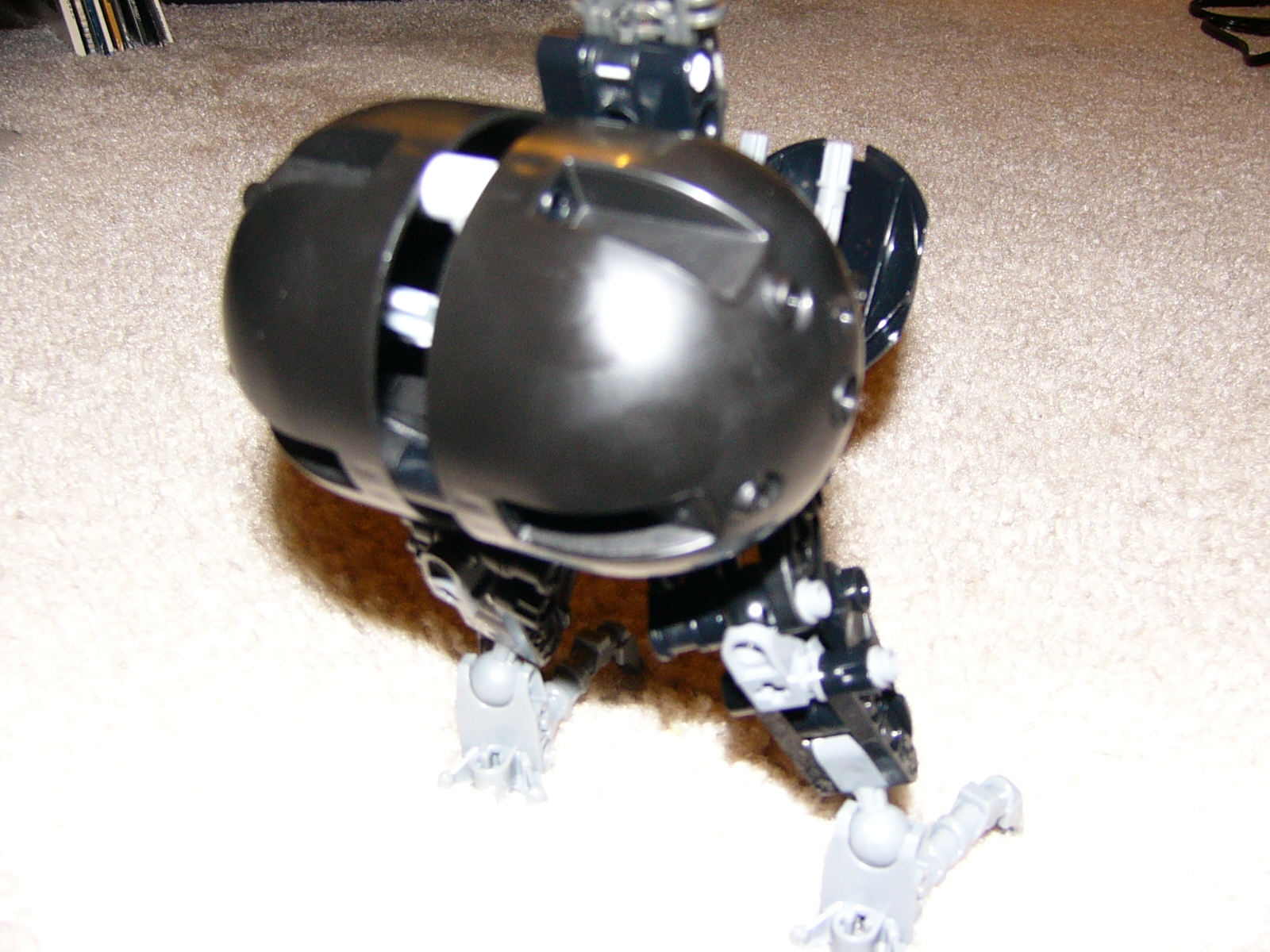 p1000399.jpg