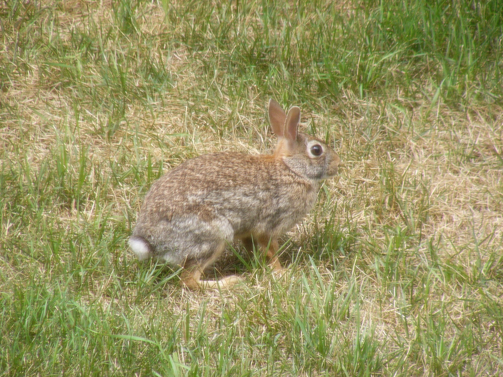 p1000544.jpg