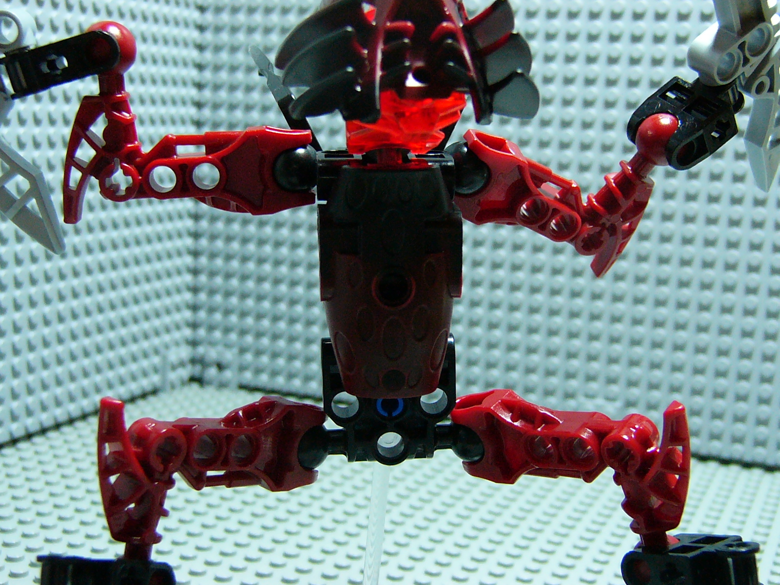 p1000326.jpg