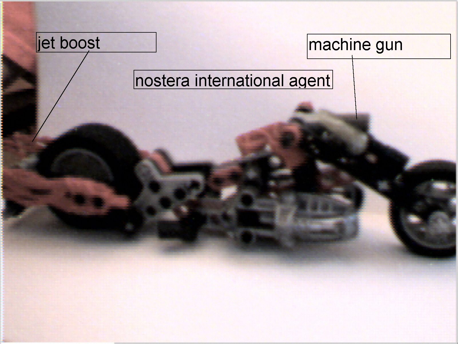 nostera_international_agent.jpg